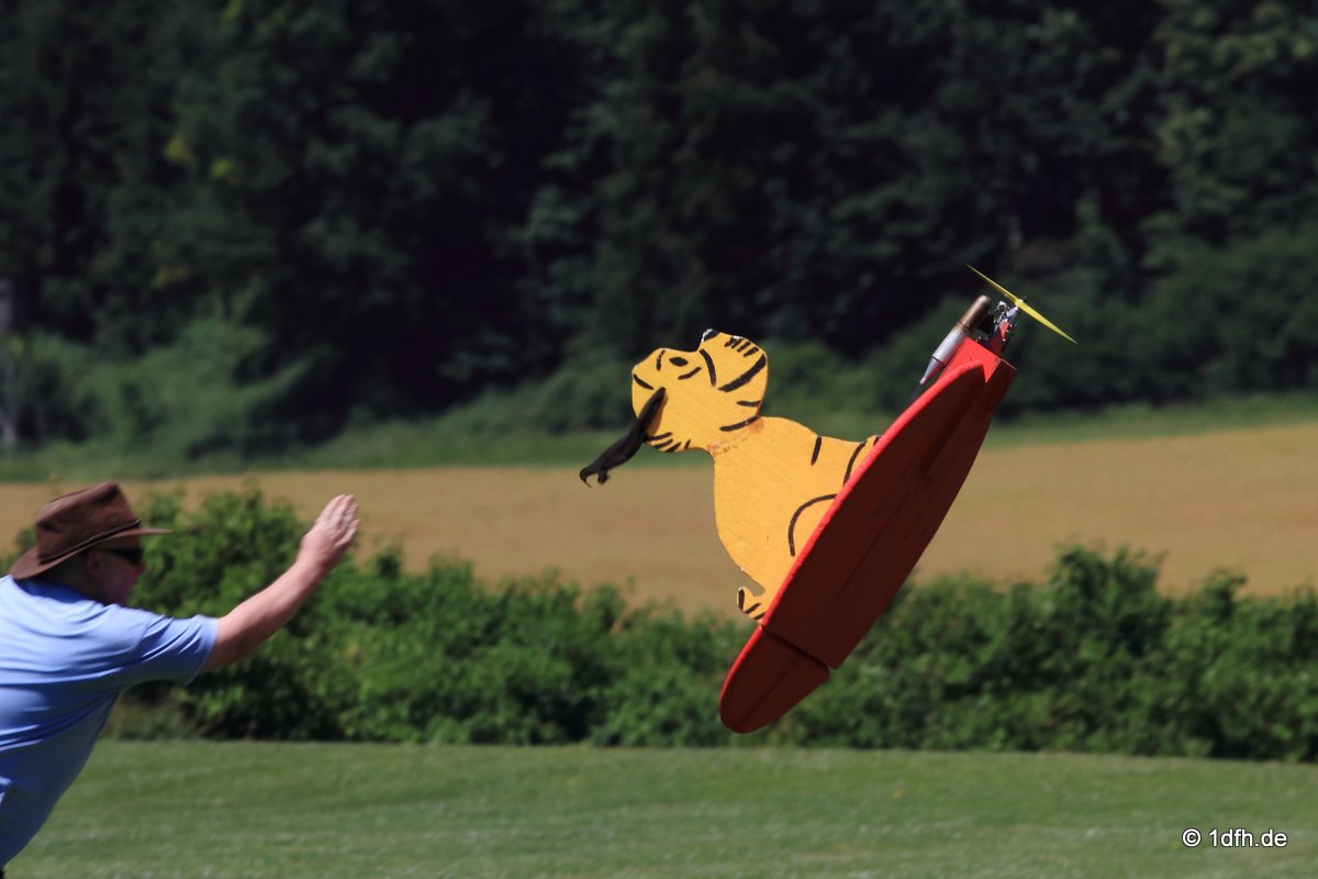 Modellflugtag Modellsportverein Langenau e.V.  10.07.201