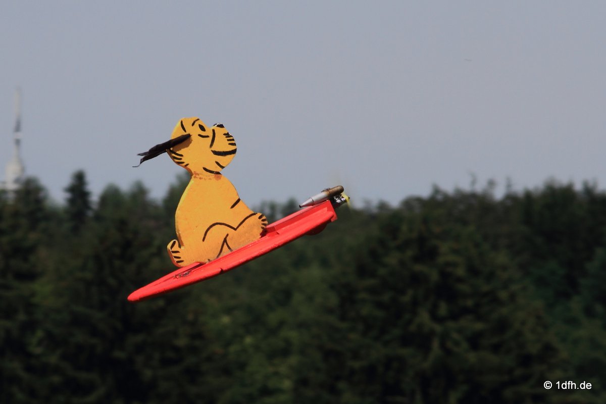 Modellflugtag Modellsportverein Langenau e.V.  10.07.201