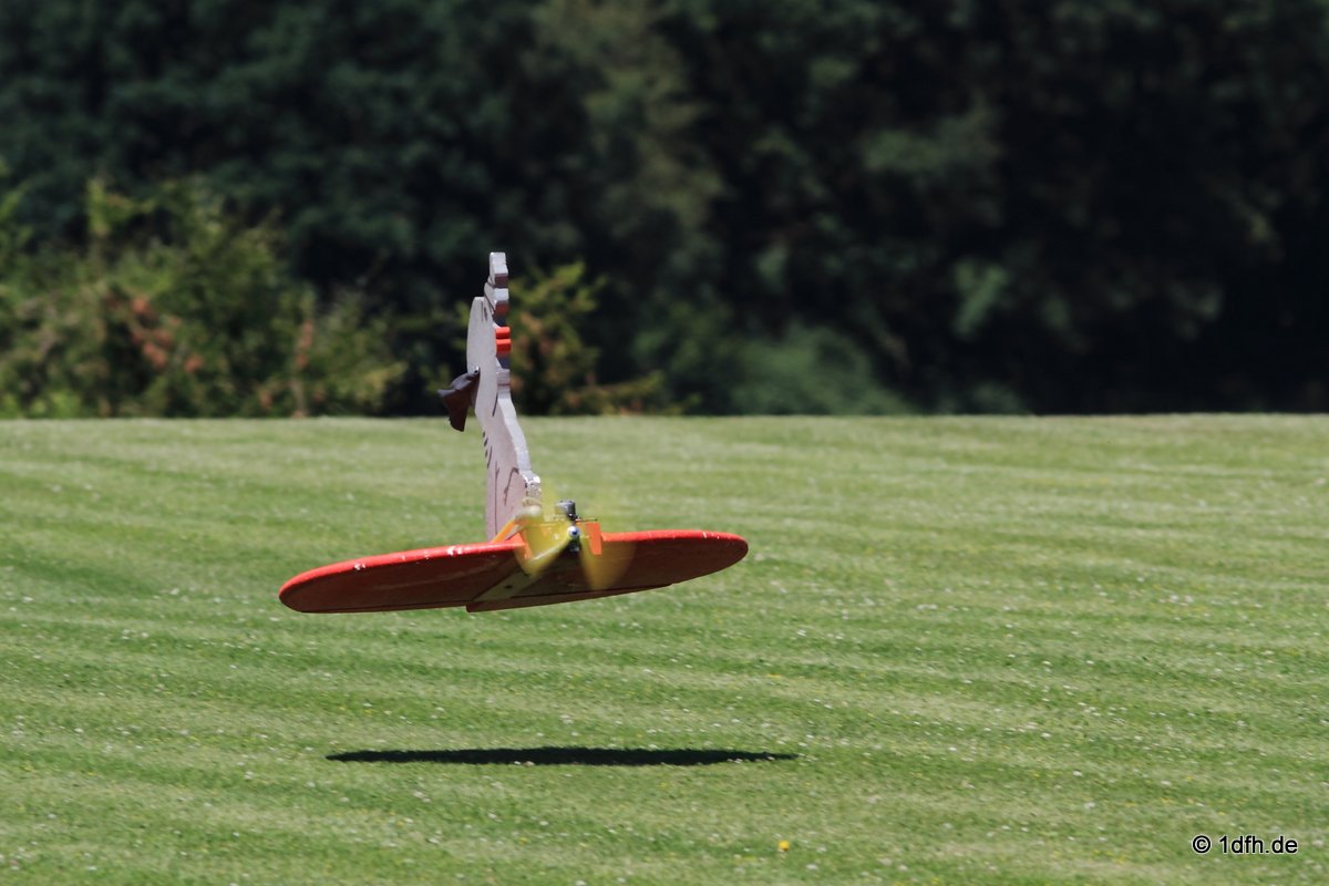 Modellflugtag Modellsportverein Langenau e.V.  10.07.201