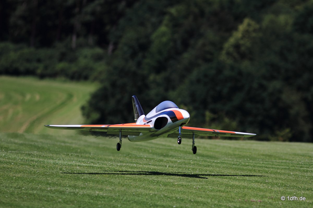 Modellflugtag Modellsportverein Langenau e.V.  10.07.201