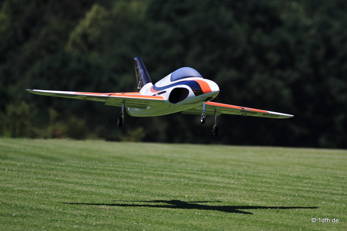 Modellflugtag Modellsportverein Langenau e.V.  10.07.201