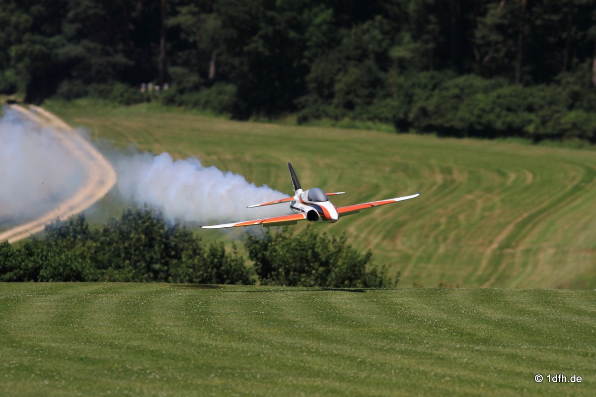 Modellflugtag Modellsportverein Langenau e.V.  10.07.201