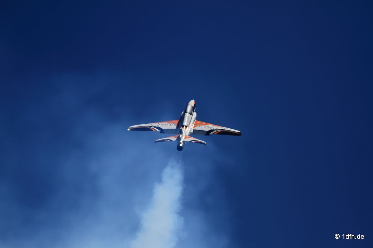 Modellflugtag Modellsportverein Langenau e.V.  10.07.201