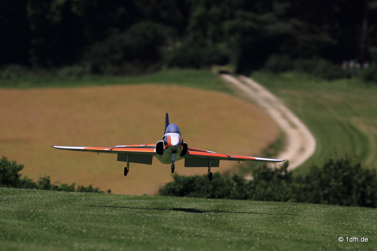 Modellflugtag Modellsportverein Langenau e.V.  10.07.201