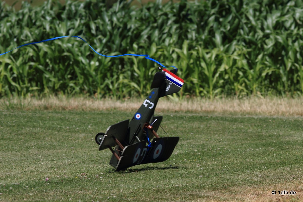 Modellflugtag Modellsportverein Langenau e.V.  10.07.201