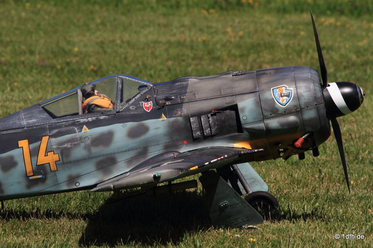 Modellflugtag Modellsportverein Langenau e.V.  10.07.201