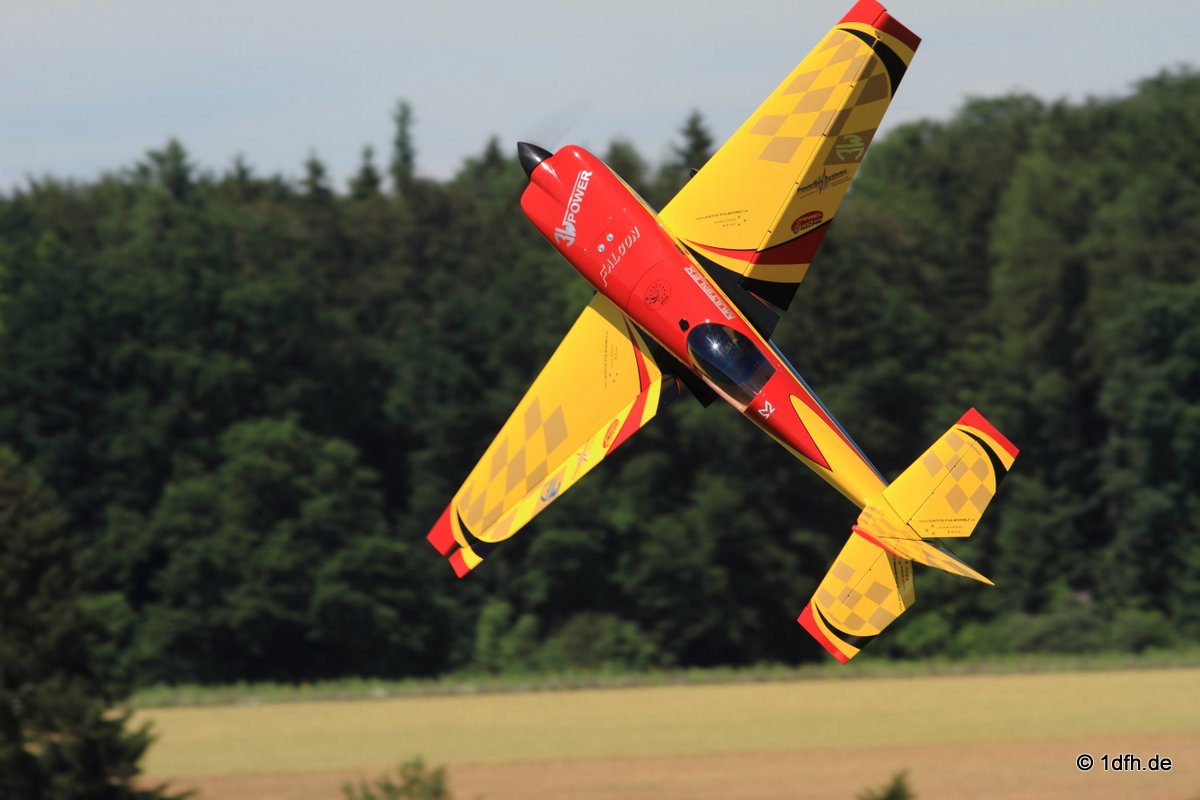 Modellflugtag Modellsportverein Langenau e.V.  10.07.201