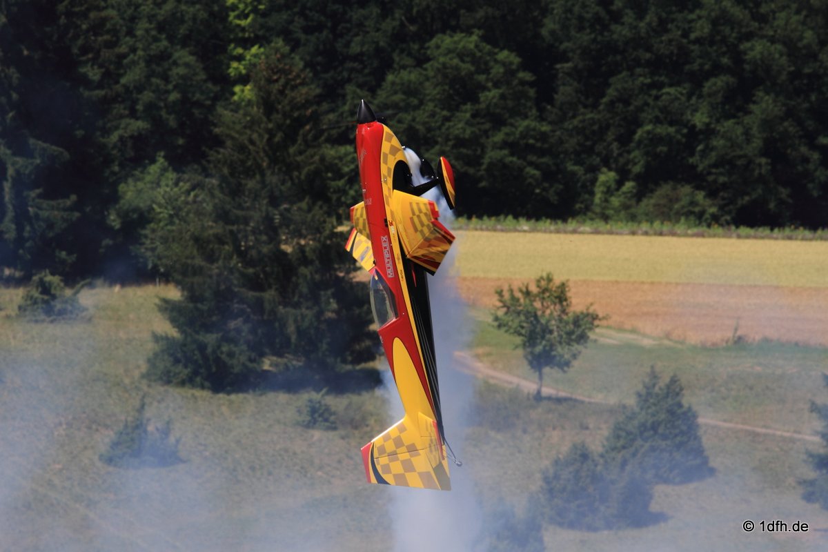 Modellflugtag Modellsportverein Langenau e.V.  10.07.201