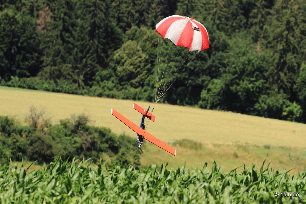 Modellflugtag Modellsportverein Langenau e.V.  10.07.201
