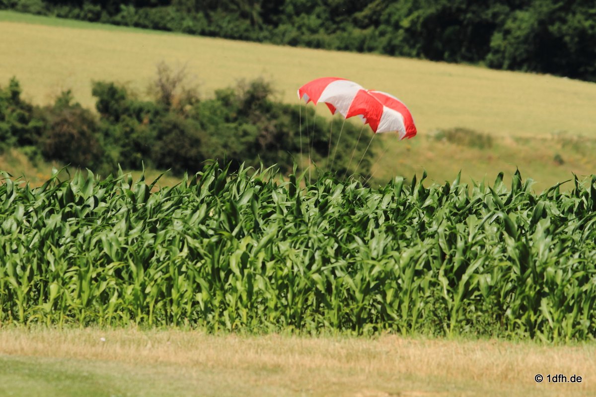 Modellflugtag Modellsportverein Langenau e.V.  10.07.201