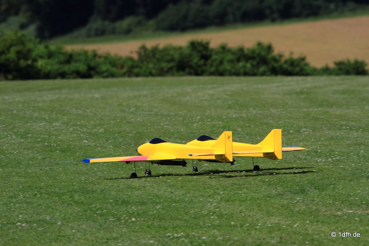 Modellflugtag Modellsportverein Langenau e.V.  10.07.201