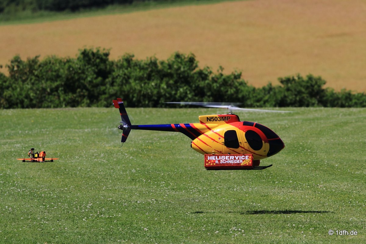 Modellflugtag Modellsportverein Langenau e.V.  10.07.201