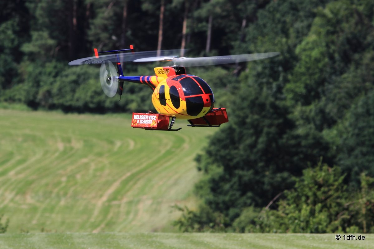 Modellflugtag Modellsportverein Langenau e.V.  10.07.201