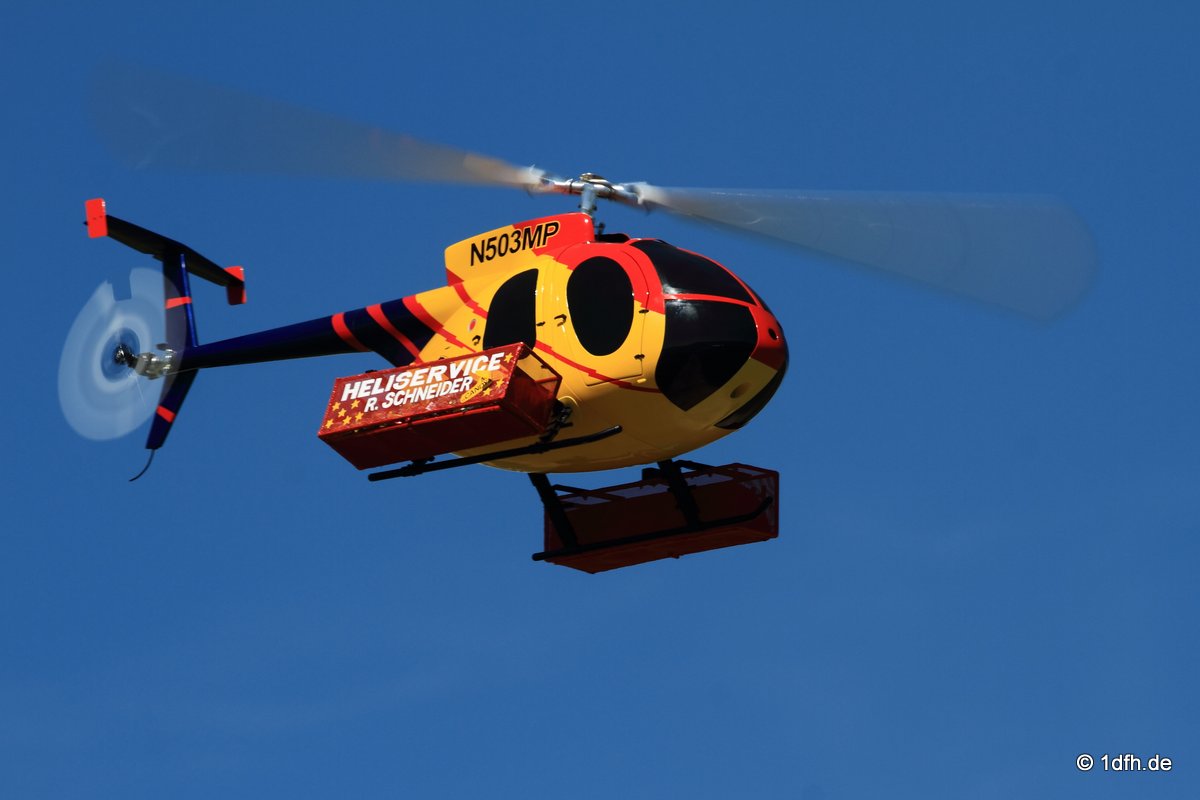 Modellflugtag Modellsportverein Langenau e.V.  10.07.201