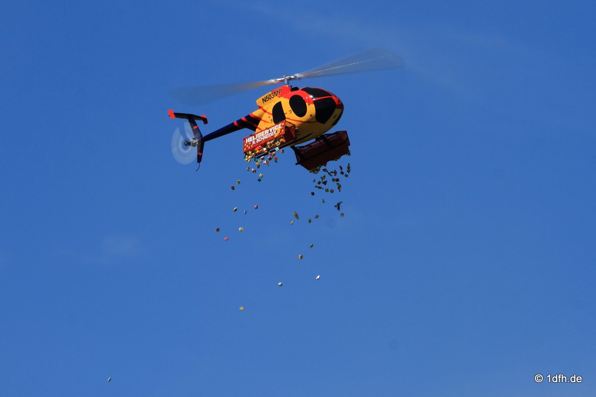 Modellflugtag Modellsportverein Langenau e.V.  10.07.201