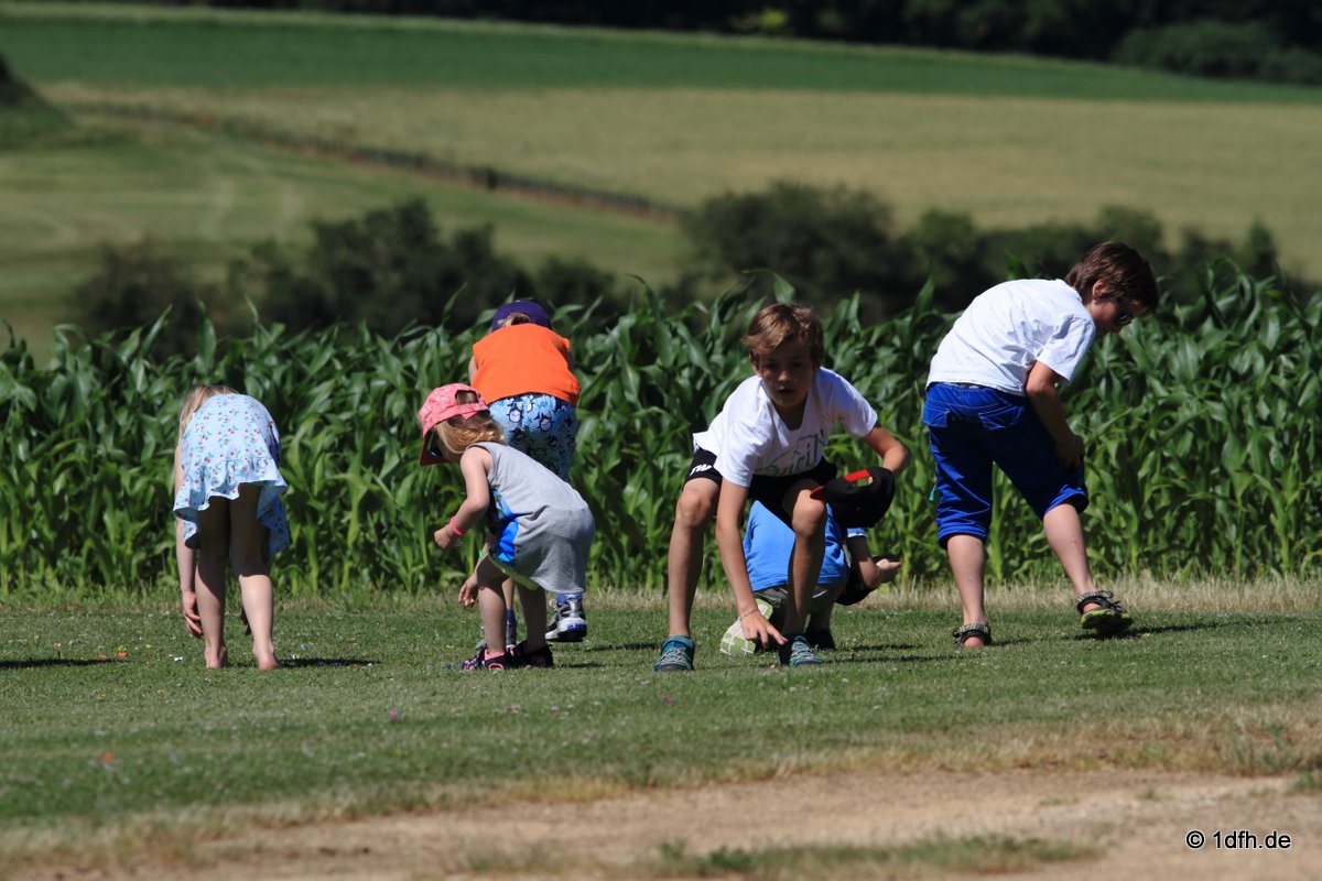 Modellflugtag Modellsportverein Langenau e.V.  10.07.201