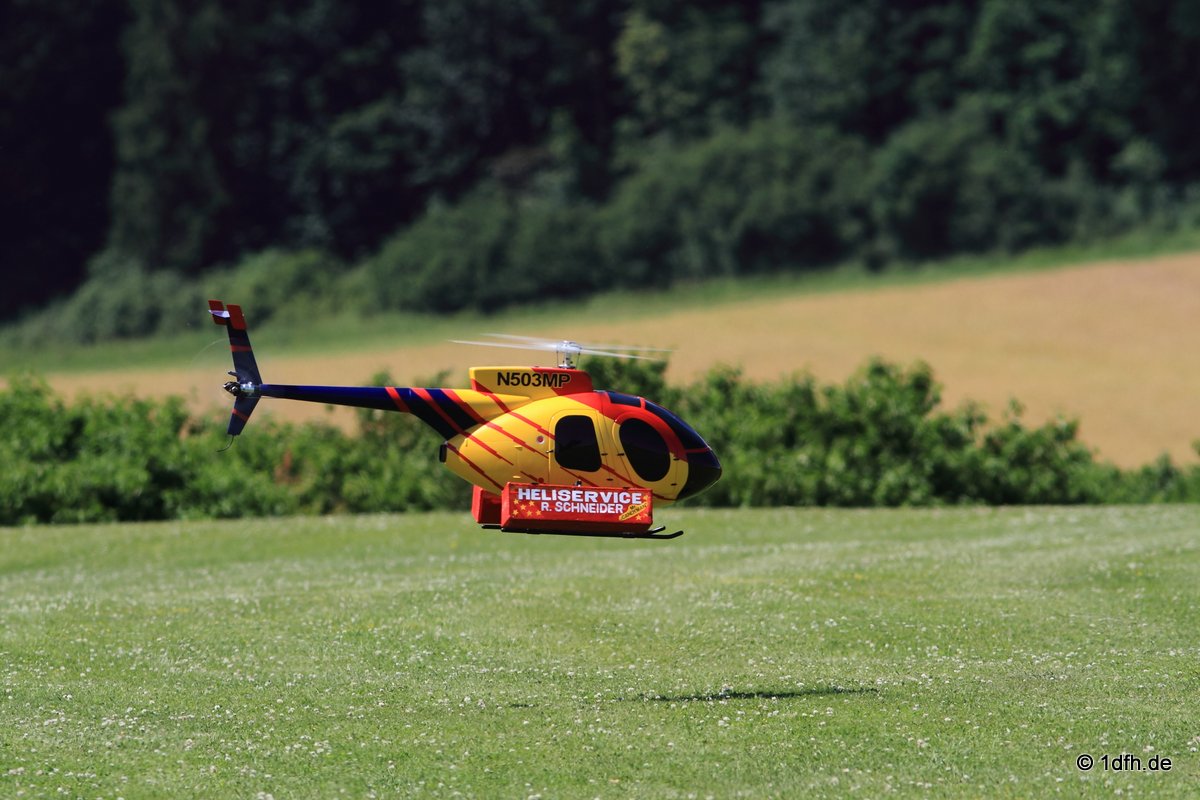 Modellflugtag Modellsportverein Langenau e.V.  10.07.201