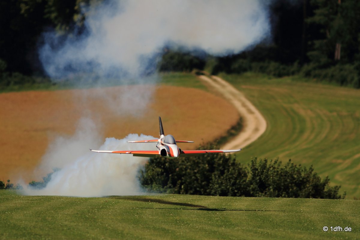 Modellflugtag Modellsportverein Langenau e.V.  10.07.201
