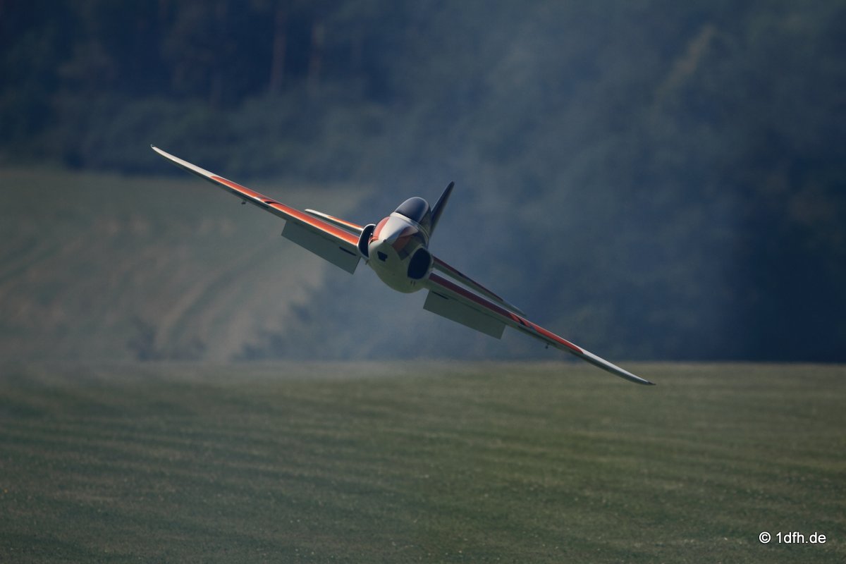 Modellflugtag Modellsportverein Langenau e.V.  10.07.201