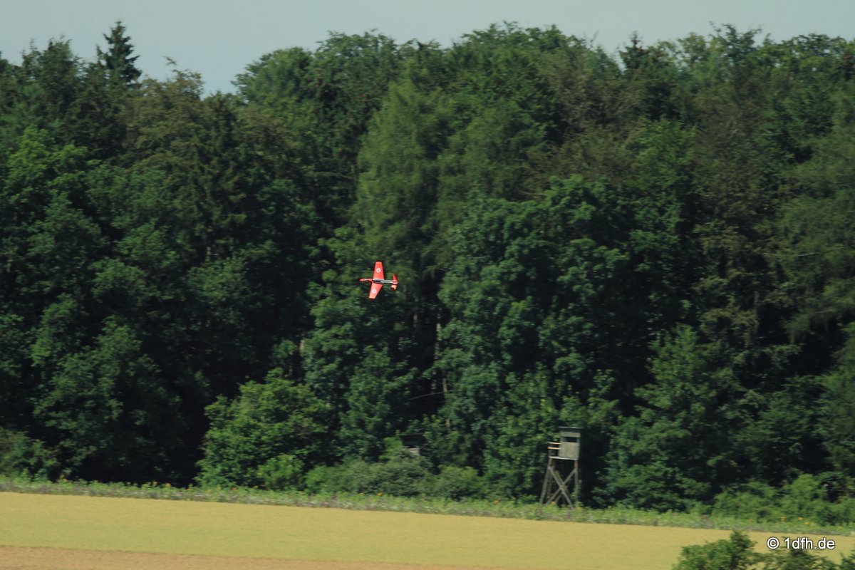 Modellflugtag Modellsportverein Langenau e.V.  10.07.201