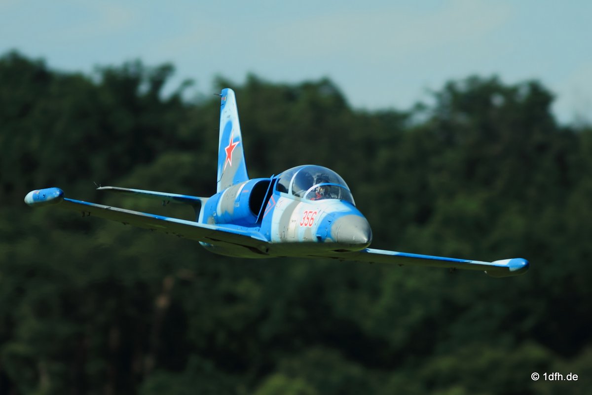 Modellflugtag Modellsportverein Langenau e.V.  10.07.201