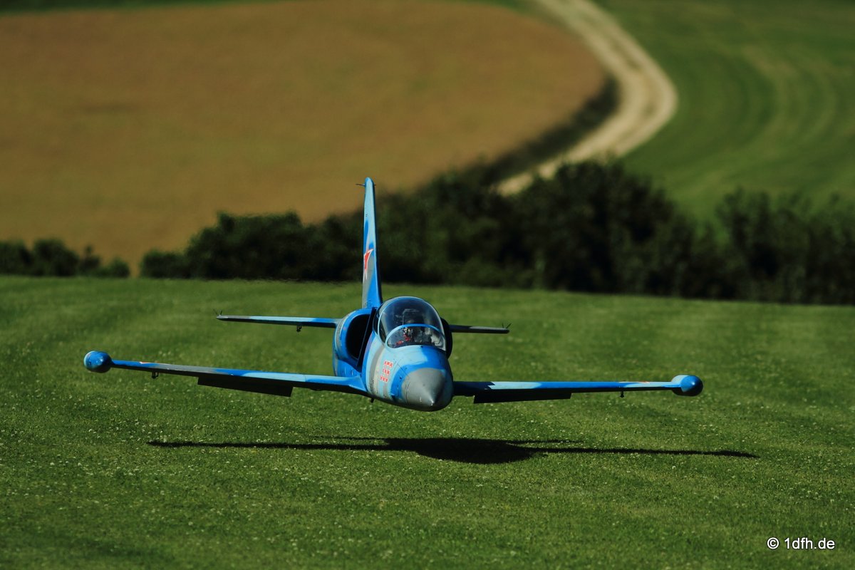 Modellflugtag Modellsportverein Langenau e.V.  10.07.201
