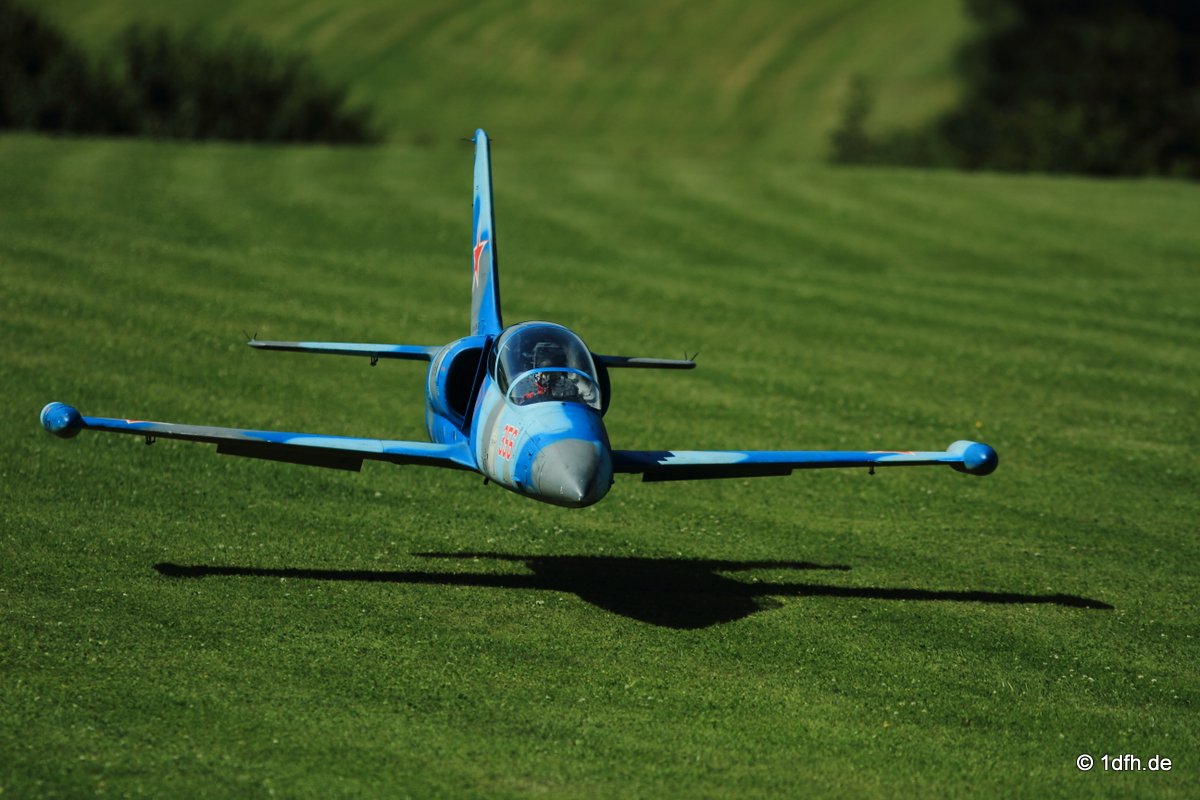 Modellflugtag Modellsportverein Langenau e.V.  10.07.201