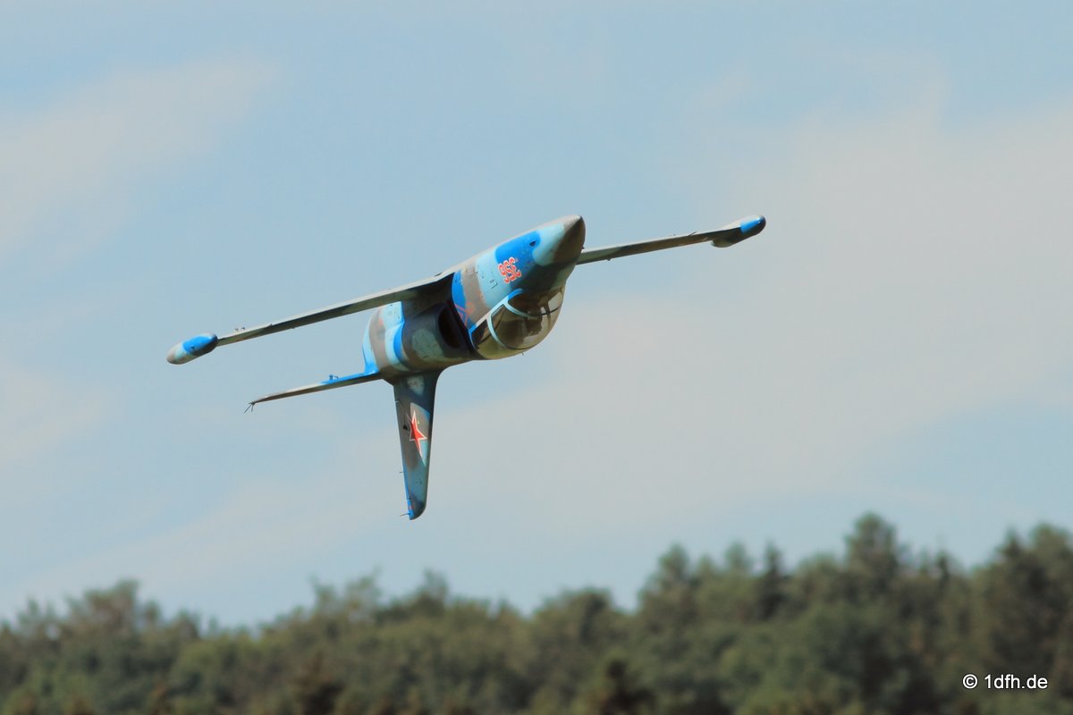 Modellflugtag Modellsportverein Langenau e.V.  10.07.201