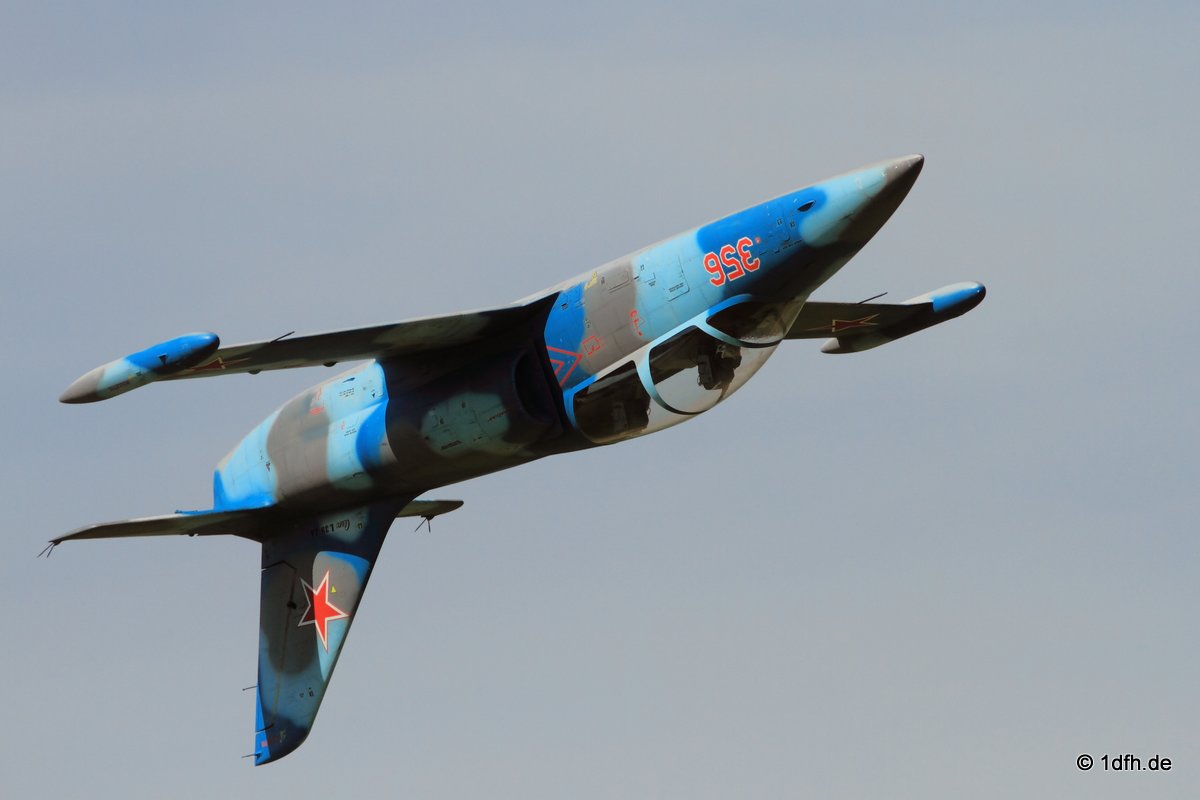 Modellflugtag Modellsportverein Langenau e.V.  10.07.201