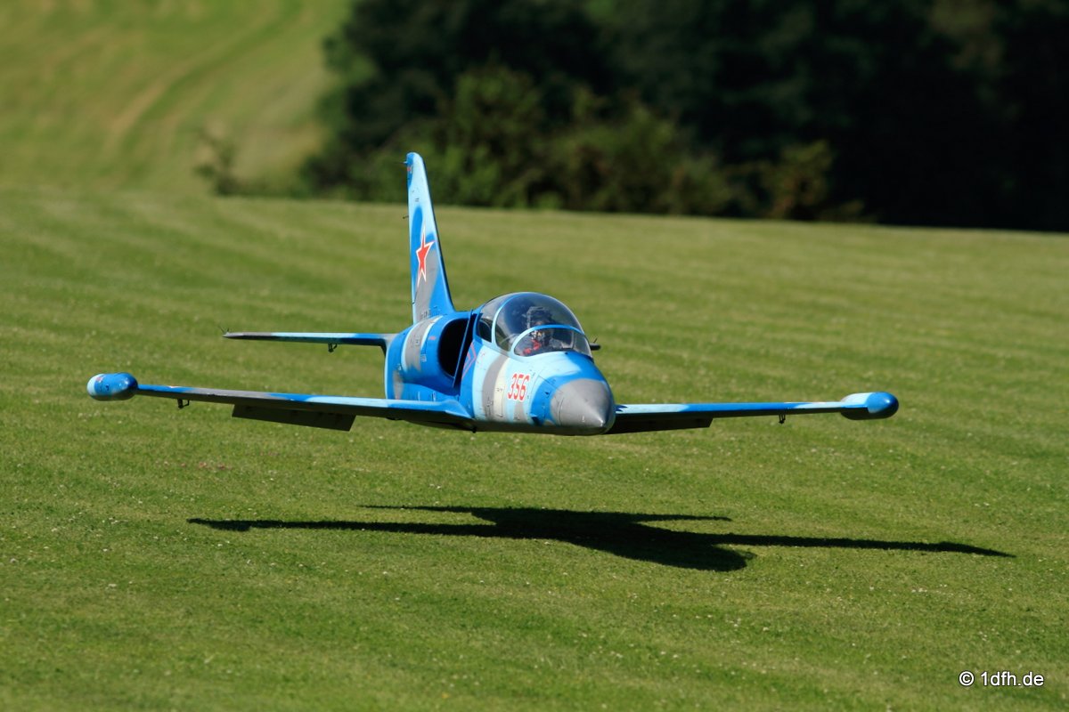 Modellflugtag Modellsportverein Langenau e.V.  10.07.201
