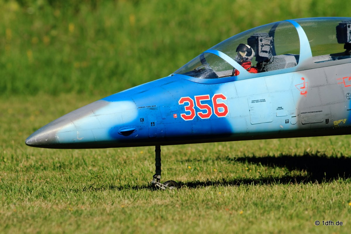 Modellflugtag Modellsportverein Langenau e.V.  10.07.201