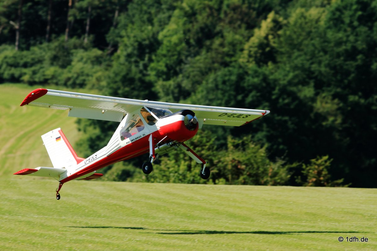 Modellflugtag Modellsportverein Langenau e.V.  10.07.201