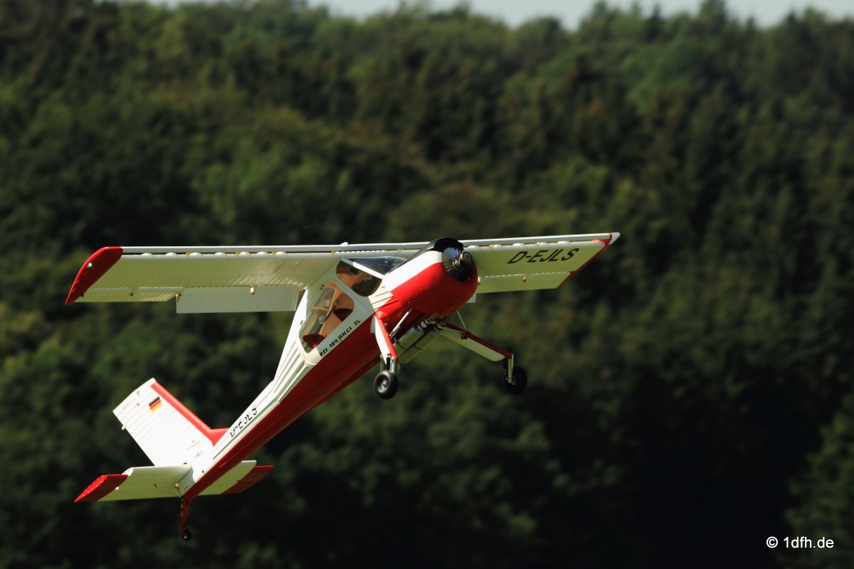 Modellflugtag Modellsportverein Langenau e.V.  10.07.201