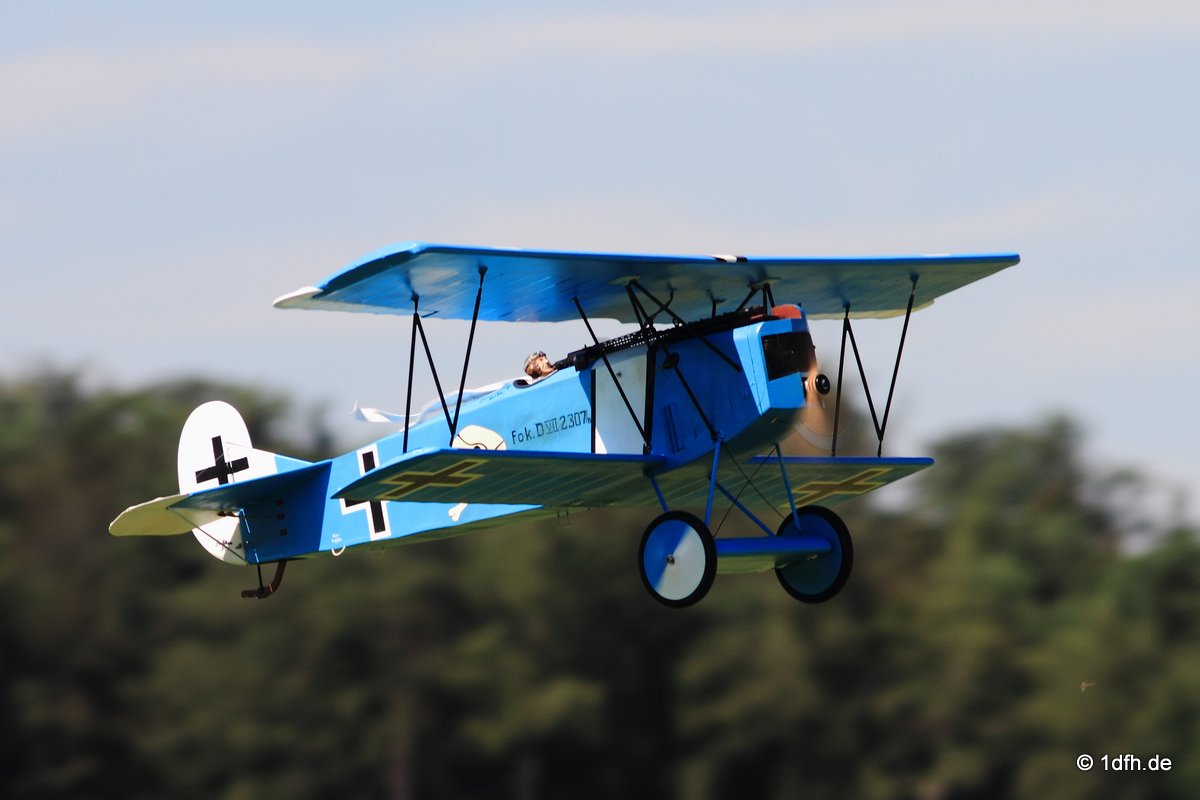 Modellflugtag Modellsportverein Langenau e.V.  10.07.201