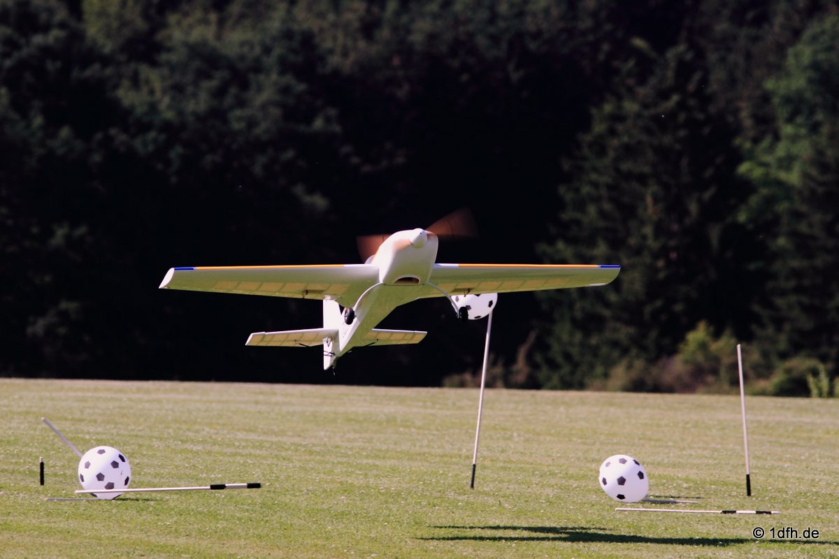Modellflugtag Modellsportverein Langenau e.V.  10.07.201