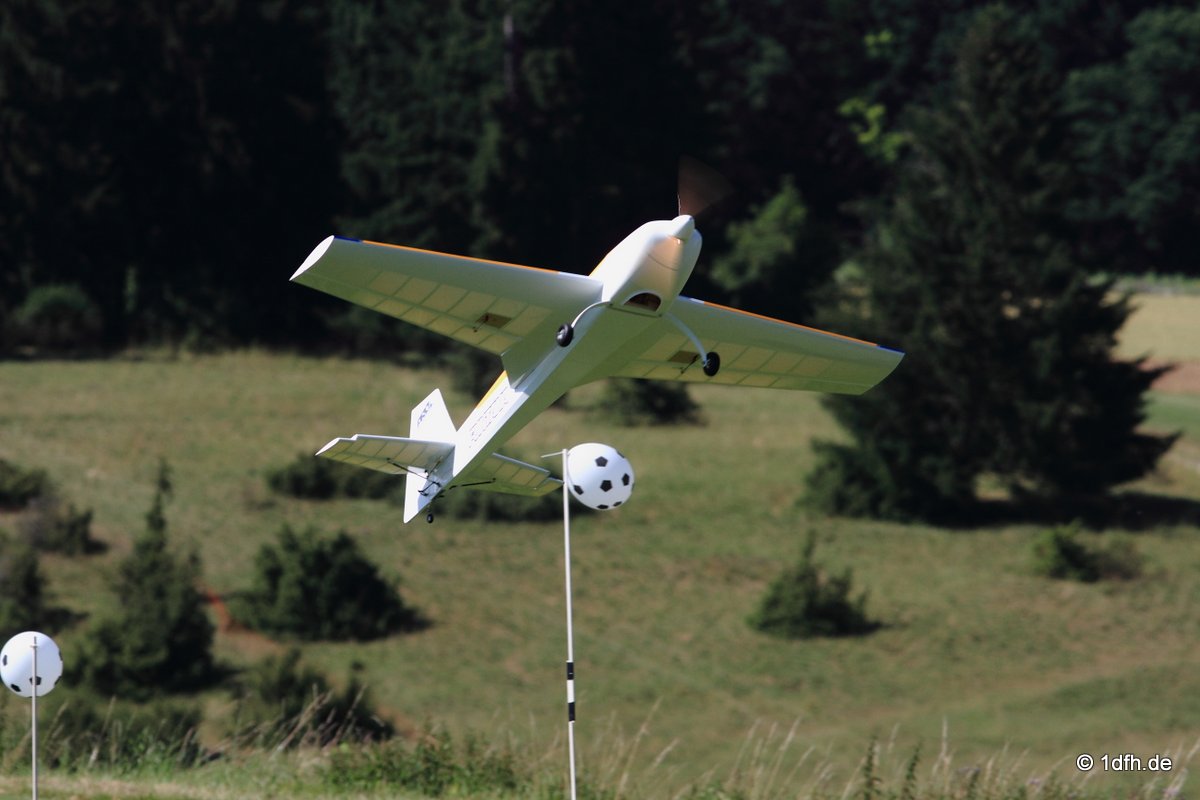 Modellflugtag Modellsportverein Langenau e.V.  10.07.201