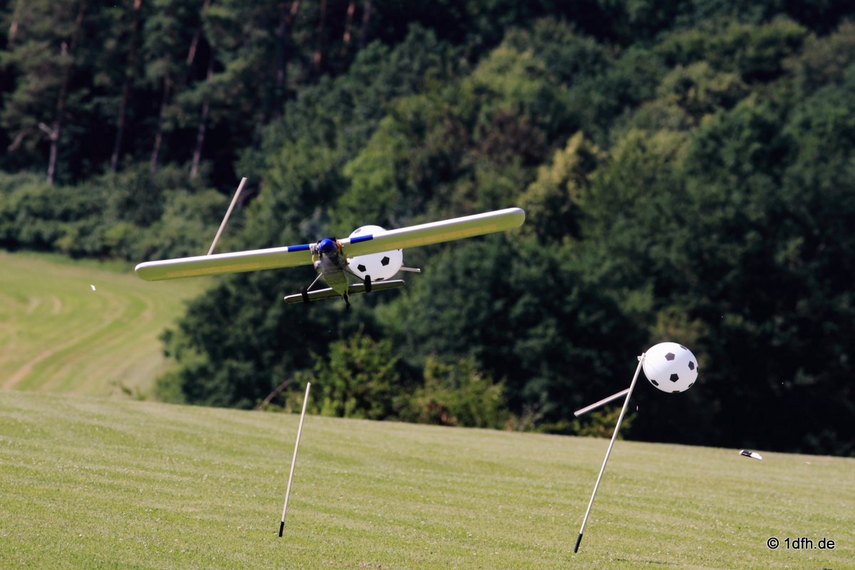 Modellflugtag Modellsportverein Langenau e.V.  10.07.201