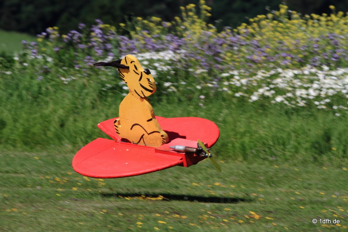 Modellflugtag Modellsportverein Langenau e.V.  10.07.201