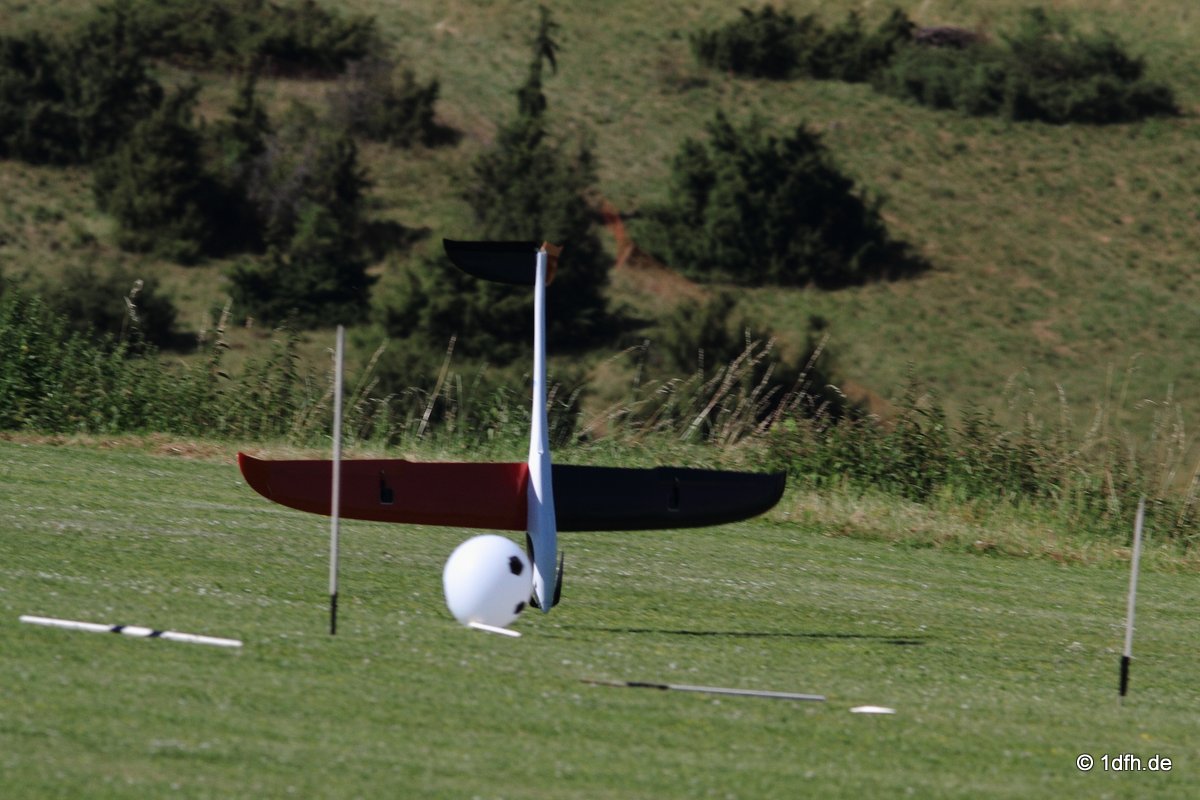 Modellflugtag Modellsportverein Langenau e.V.  10.07.201