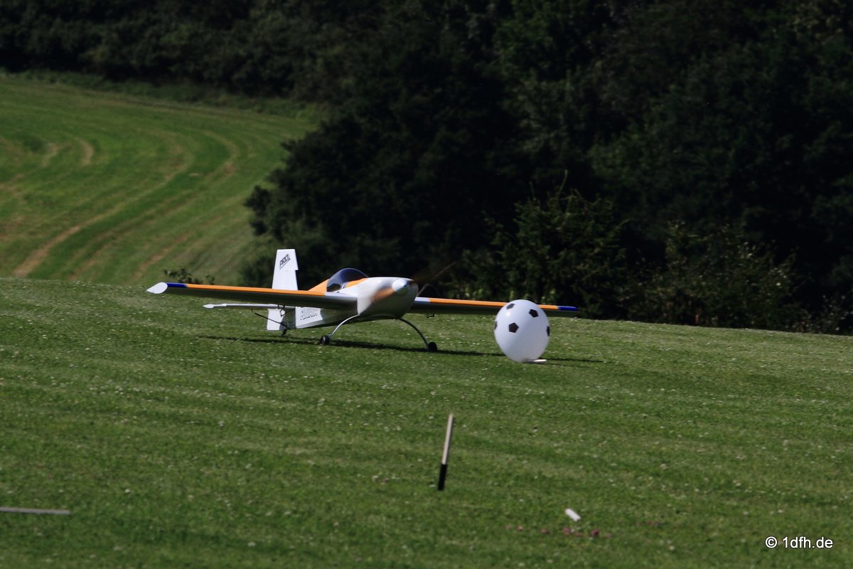 Modellflugtag Modellsportverein Langenau e.V.  10.07.201