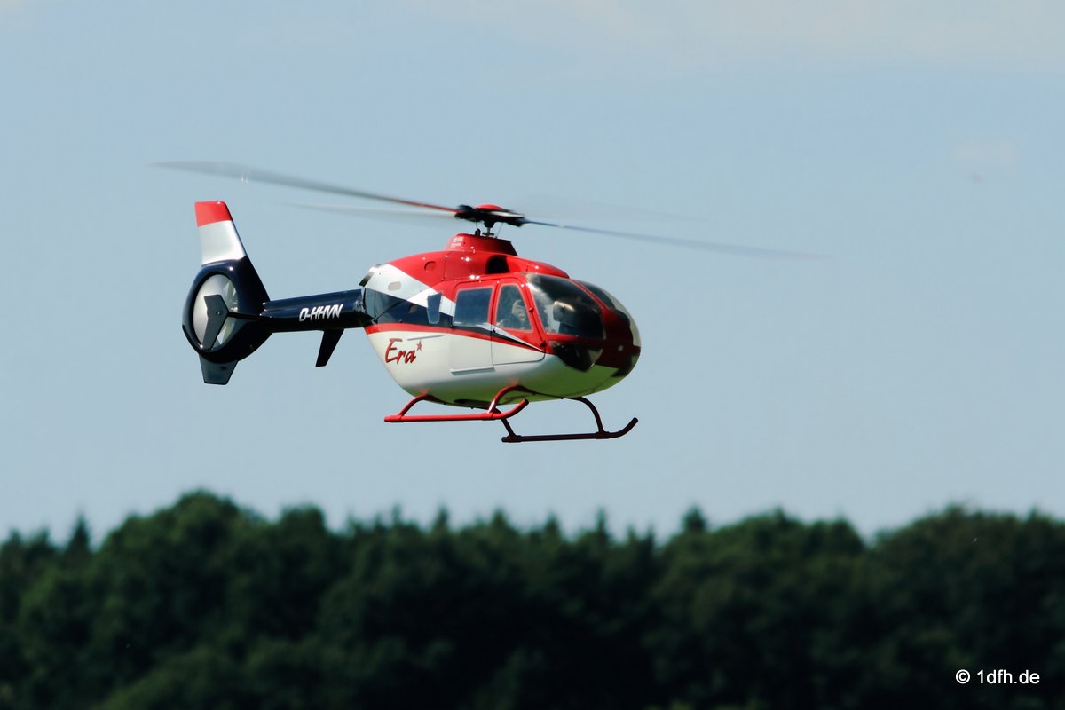 Modellflugtag Modellsportverein Langenau e.V.  10.07.201