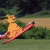 Modellflugtag Modellsportverein Langenau e.V.  10.07.201