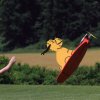 Modellflugtag Modellsportverein Langenau e.V.  10.07.201
