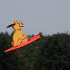 Modellflugtag Modellsportverein Langenau e.V.  10.07.201