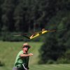 Modellflugtag Modellsportverein Langenau e.V.  10.07.201
