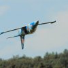 Modellflugtag Modellsportverein Langenau e.V.  10.07.201