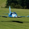 Modellflugtag Modellsportverein Langenau e.V.  10.07.201