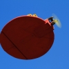Modellflugtag Modellsportverein Langenau e.V.  10.07.201
