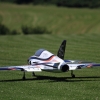 Modellflugtag Modellsportverein Langenau e.V.  10.07.201