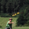 Modellflugtag Modellsportverein Langenau e.V.  10.07.201